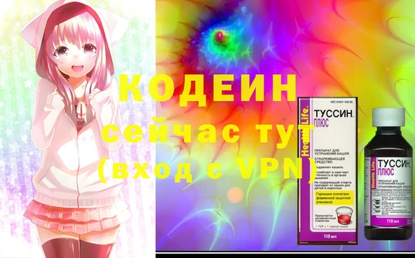 мдпв Пестово