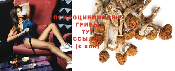 apvp Абаза