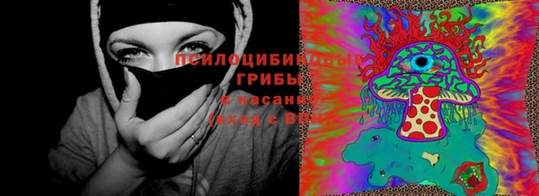 дживик Алзамай