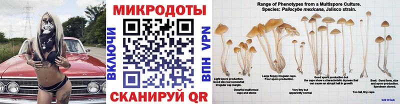 Псилоцибиновые грибы ЛСД  Фрязино 