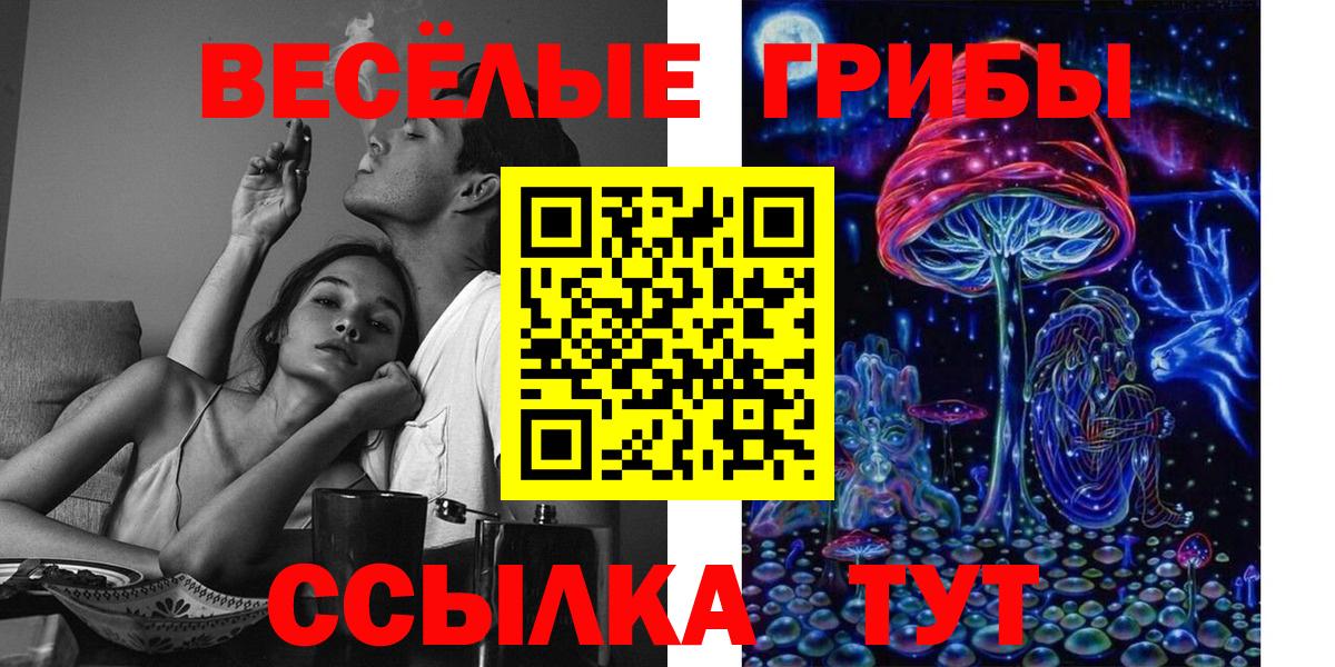Фрязино  Псилоцибиновые грибы мухоморы  Вход с VPN 